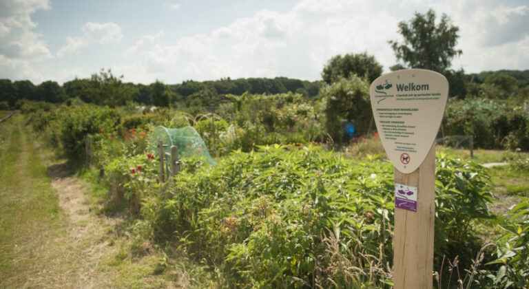 Vacature: Voorzitter van de werkgroep Volkstuinen Wageningse Eng