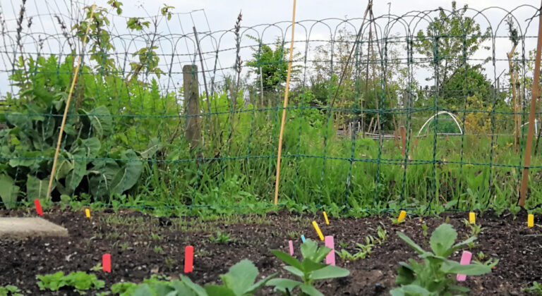 Natuurvriendelijk tuinieren